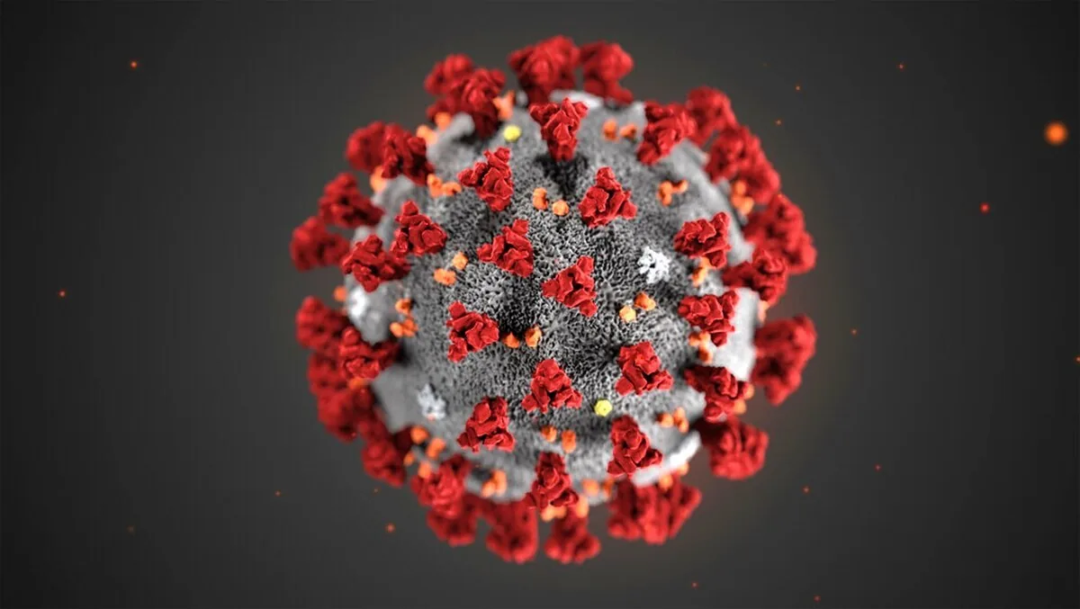 the corona virus covid-19