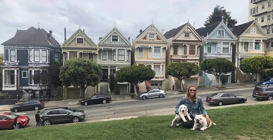 san francisco travel nursing with dogs