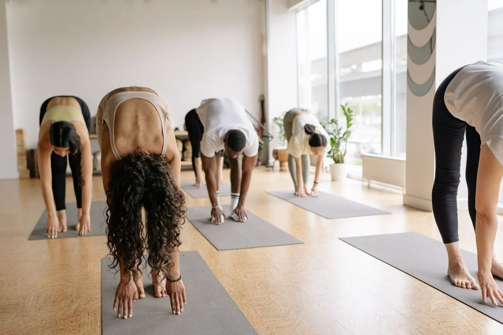 A yoga class in forward fold position, with a diverse group of participants on gray mats in a bright, plant-filled studio, capturing the essence of communal exercise and the benefits of exploring local fitness facilities while traveling.