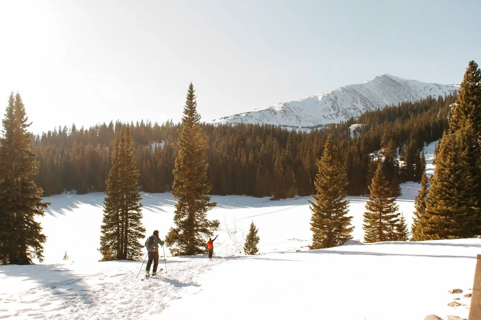 Two people cross-country skiing on a snow-covered landscape with evergreen trees and a mountain backdrop, bathed in the warm glow of the sun, exemplifying active outdoor winter exercise.